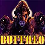 BUFFALO MC